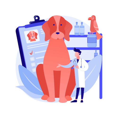 gastro-enterologie et hepatologie - clinique veterinaire saint louis brignoles