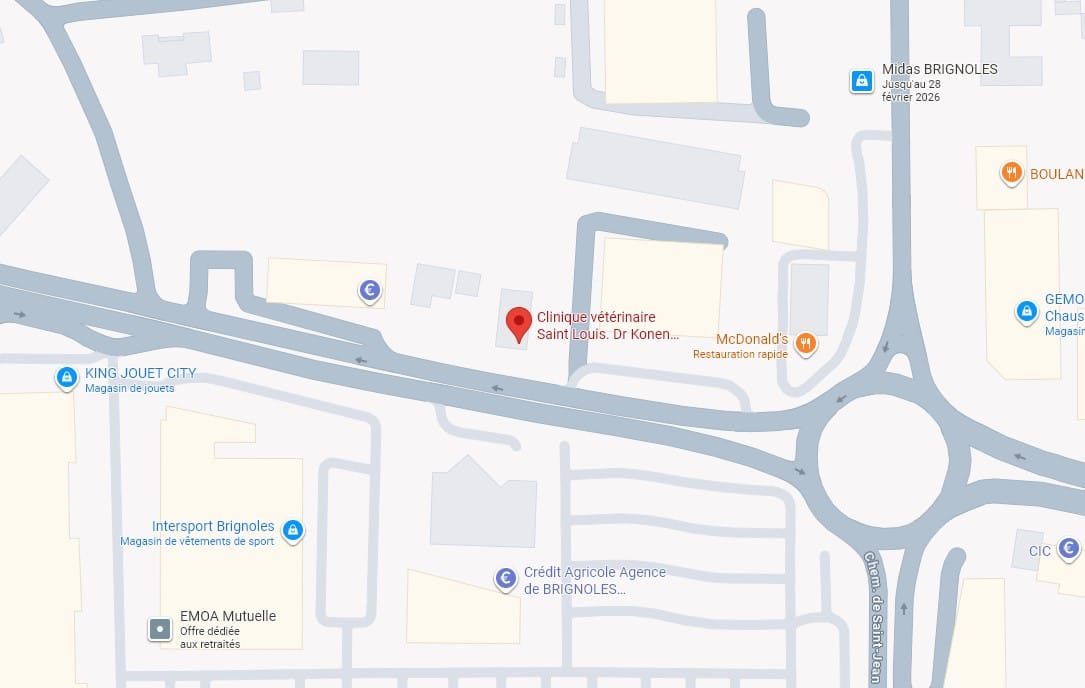 map clinique vetrinaire st louis brignoles