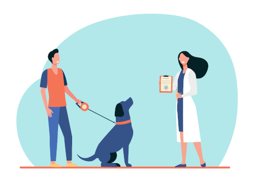 bilan santé Clinique veterinaire brignoles