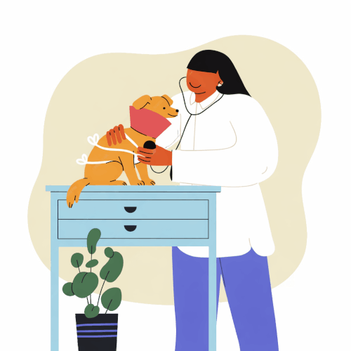clinique vétérinaire brignoles soins des animaux