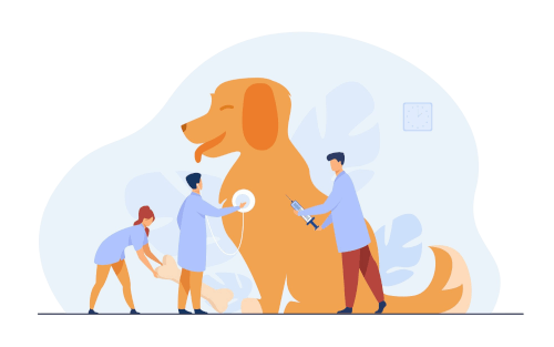 veterinaire Brignole hospitalisation