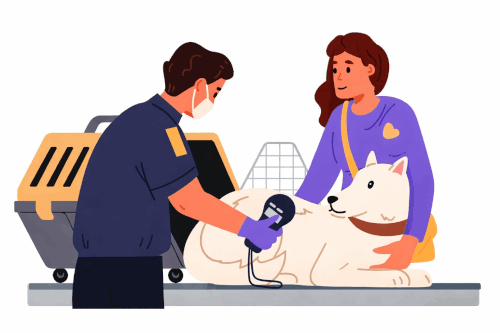 veterinaire Brignole identification