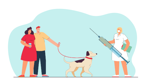 Clinique veterinaire brignoles - rappel de vaccination