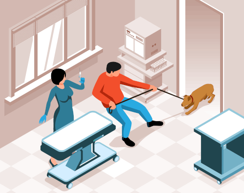 Clinique veterinaire brignoles - visite vétérinaire annuelle