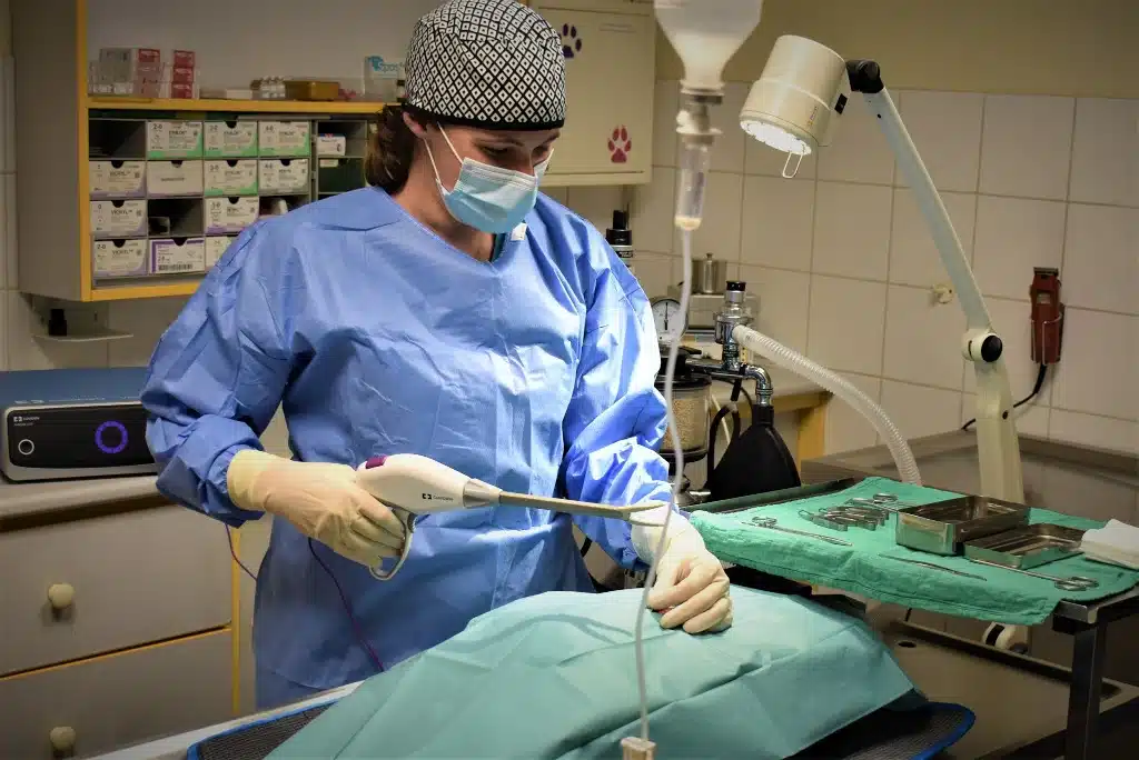 chirurgie du dr konen - clinique veterinaire brignoles