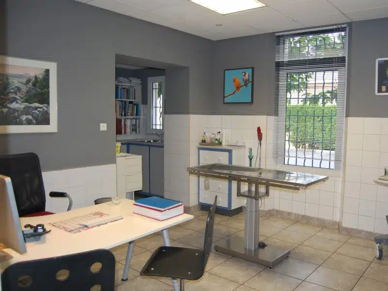 consultation salle 1 - clinique veterinaire brignoles