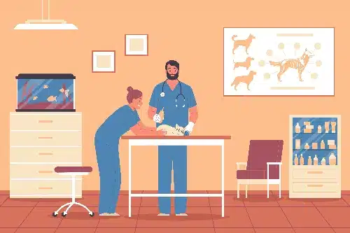 hospitalisation - clinique veterinaire saint louis à brignoles