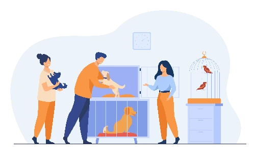 hospitalisation - clinique veterinaire saint louis à brignoles