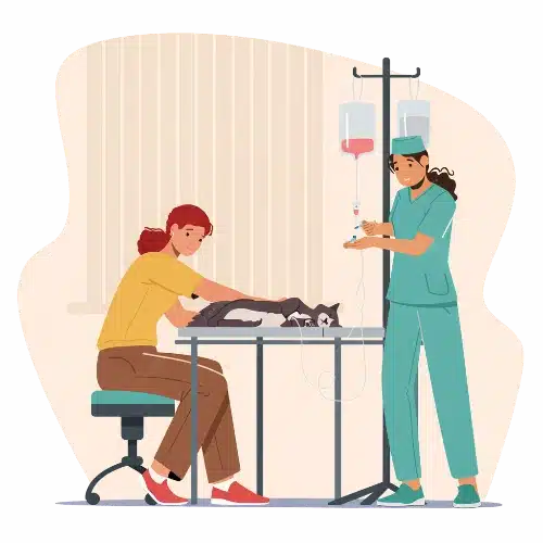 hospitalisation - clinique veterinaire saint louis à brignoles
