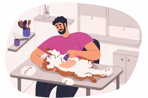 hospitalisation - clinique veterinaire saint louis à brignoles