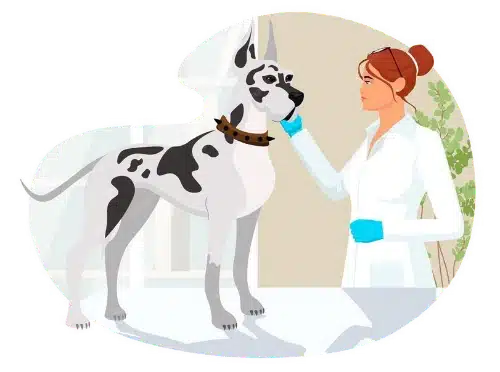 hygiene - clinique veterinaire saint louis brignoles