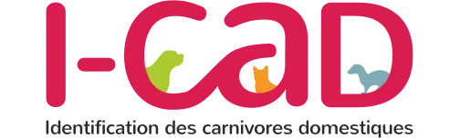  I’CAD