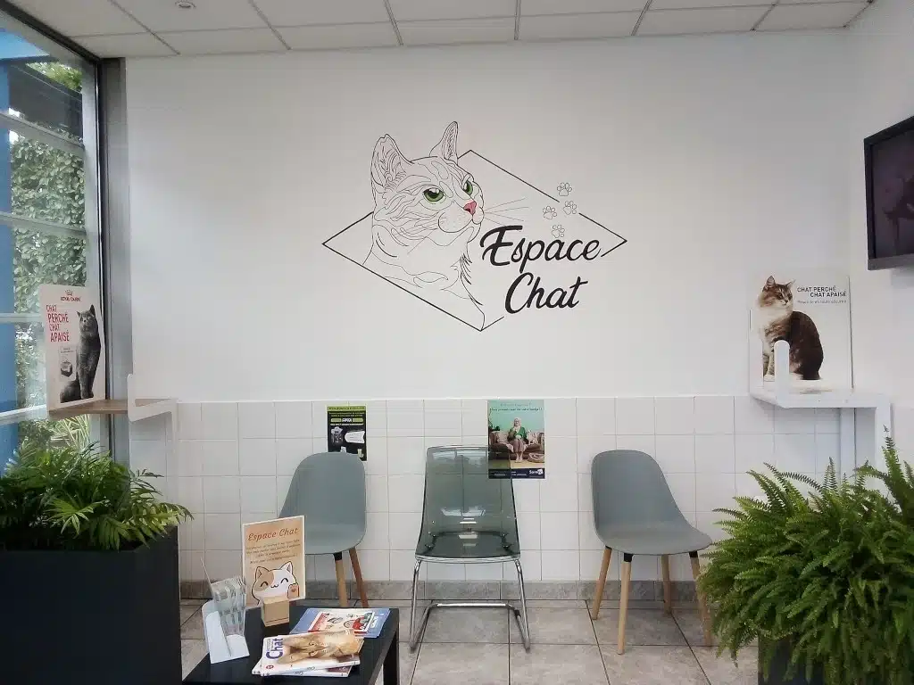 salle d attente chat de la clinique veterinaire st louis de brignoles