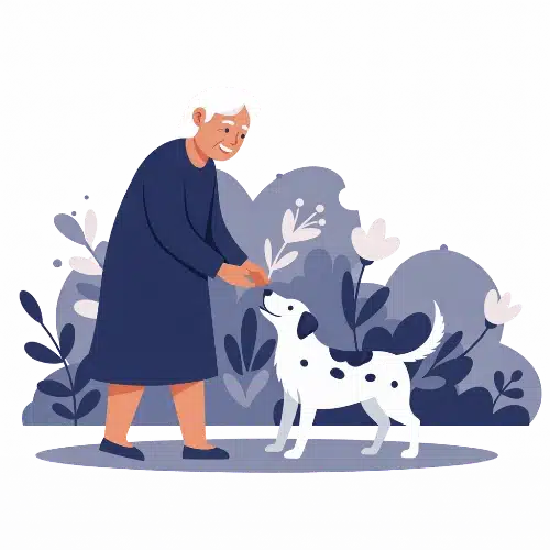 bilan senior - clinique veterinaire saint louis à brignoles