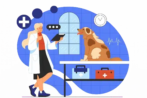 bilan senior - clinique veterinaire saint louis à brignoles