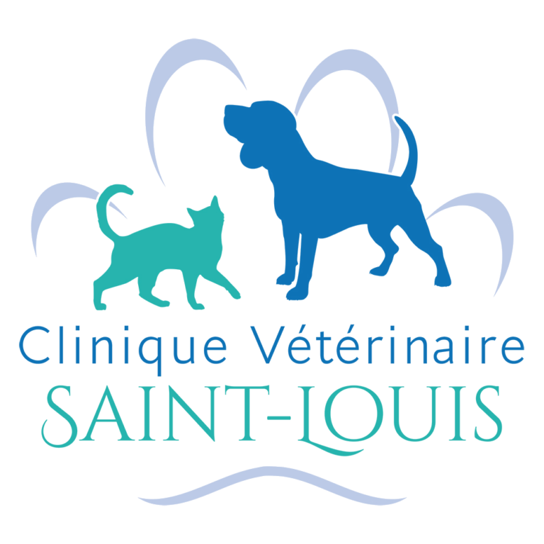 Clinique Vétérinaire Saint Louis Brignoles